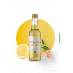 KOMBUCHA ONFLOW